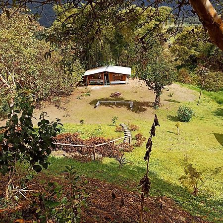 Green Bamboo Lodge San Francisco de Borja المظهر الخارجي الصورة