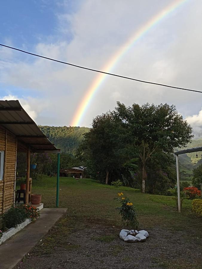 Green Bamboo Lodge San Francisco de Borja المظهر الخارجي الصورة