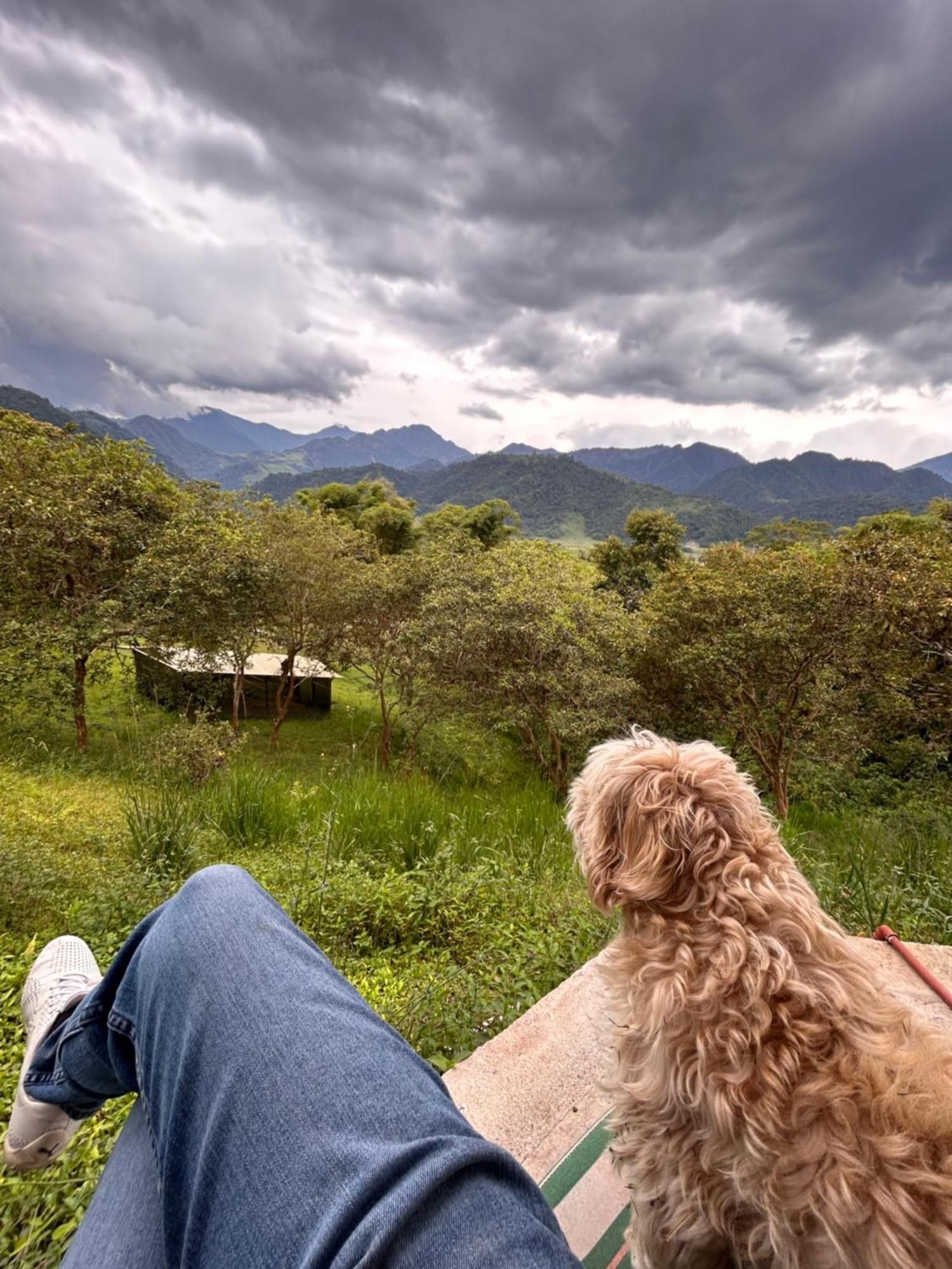 Green Bamboo Lodge San Francisco de Borja المظهر الخارجي الصورة