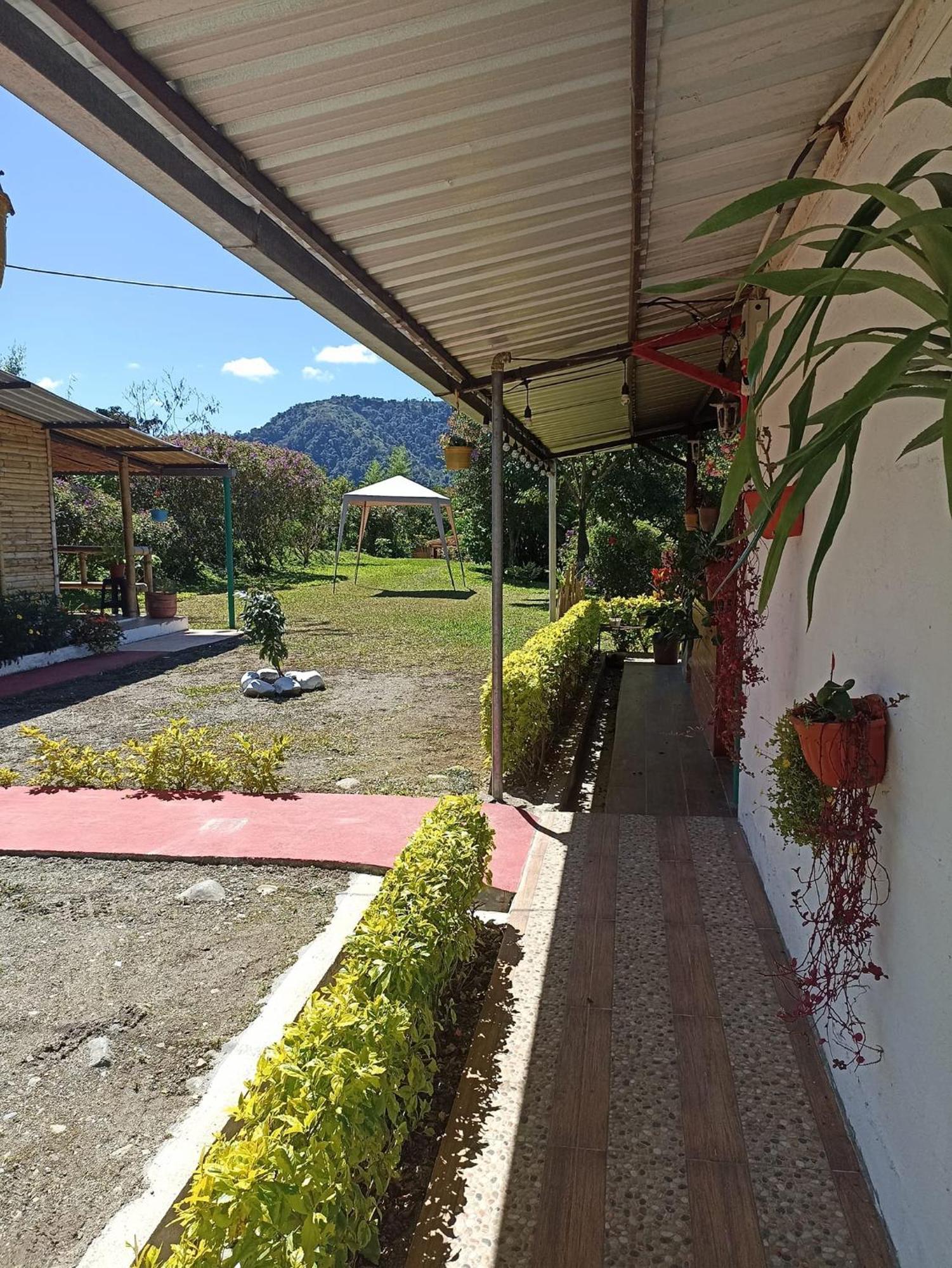 Green Bamboo Lodge San Francisco de Borja المظهر الخارجي الصورة