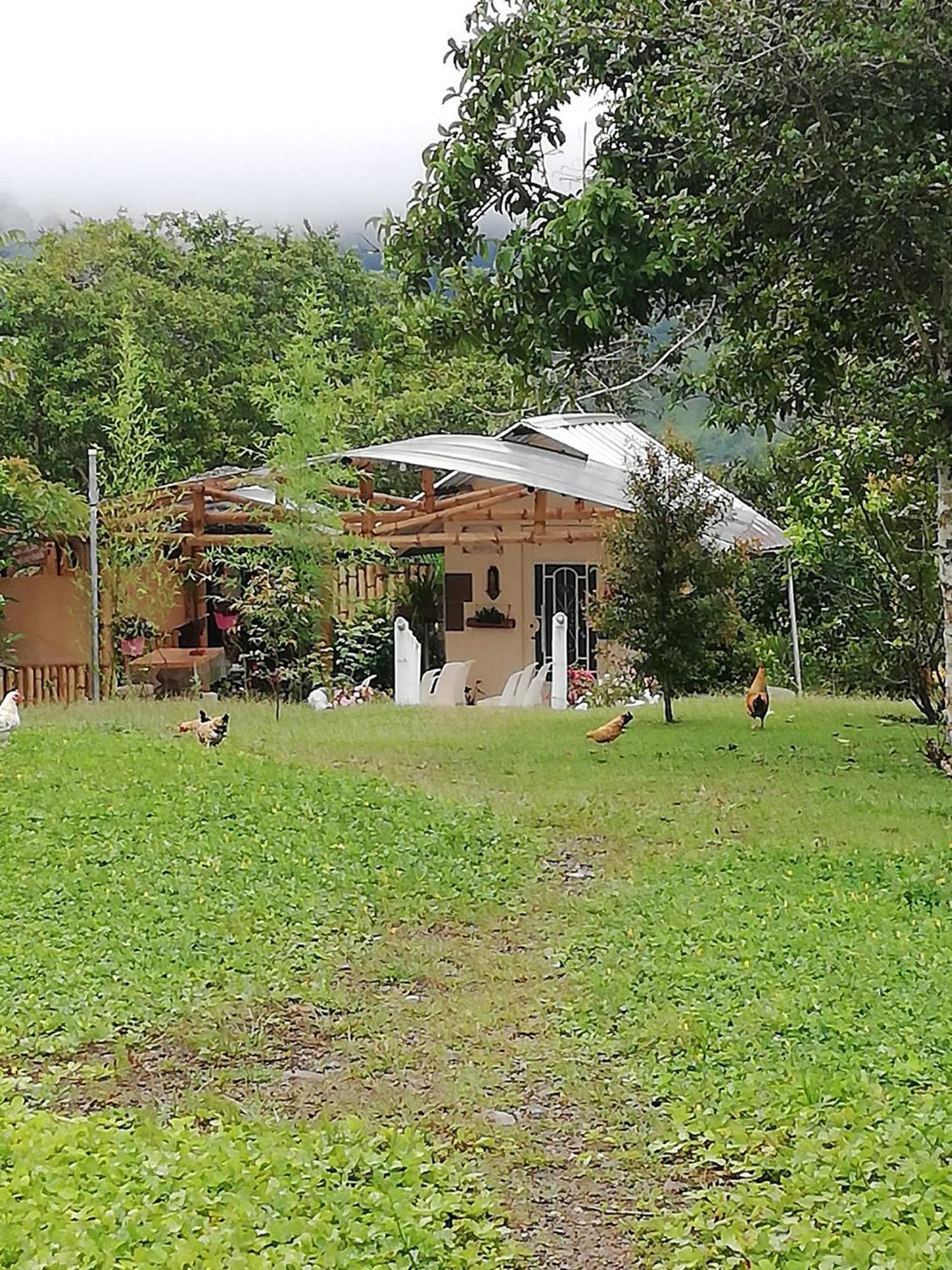 Green Bamboo Lodge San Francisco de Borja المظهر الخارجي الصورة