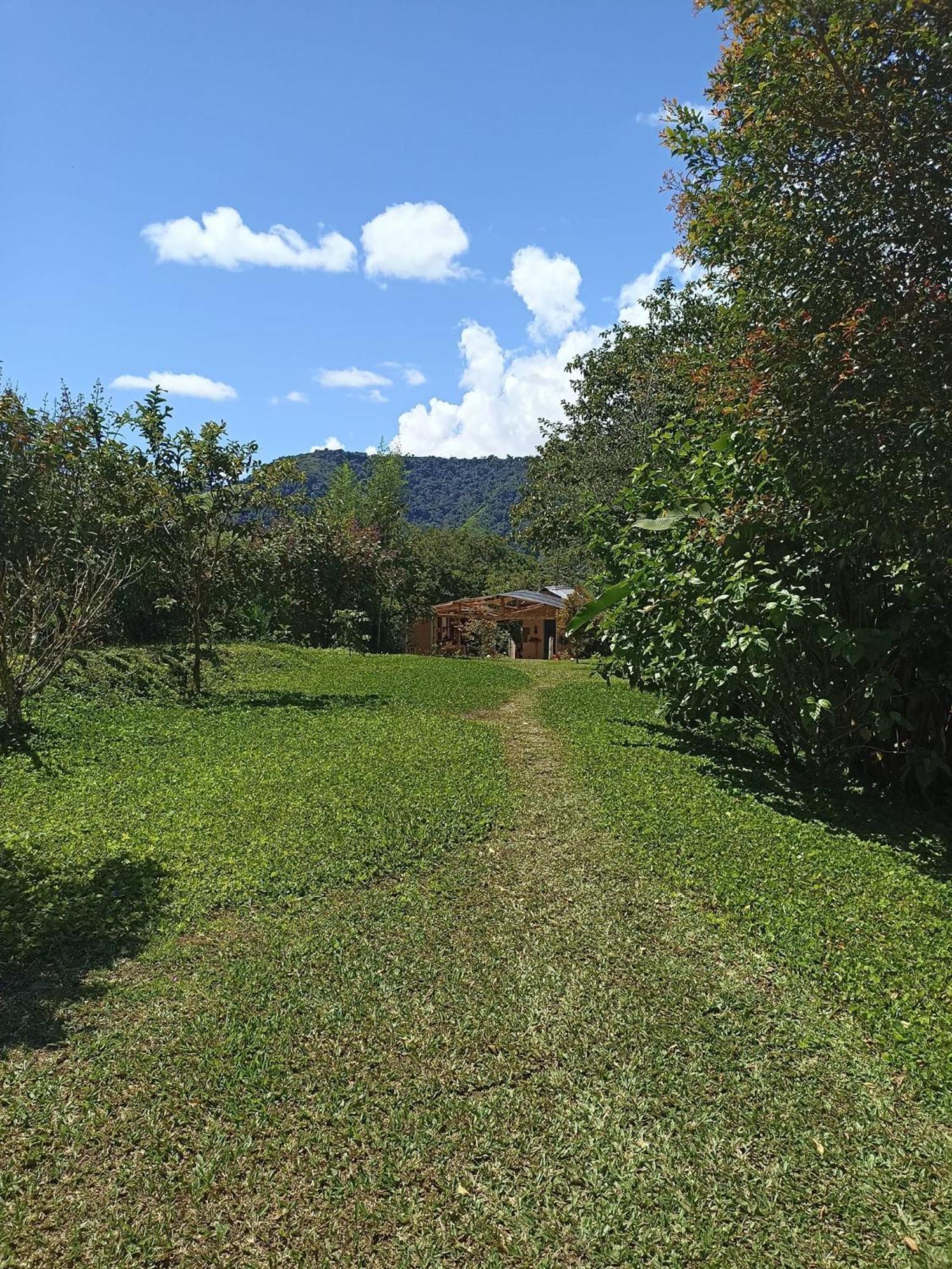 Green Bamboo Lodge San Francisco de Borja المظهر الخارجي الصورة